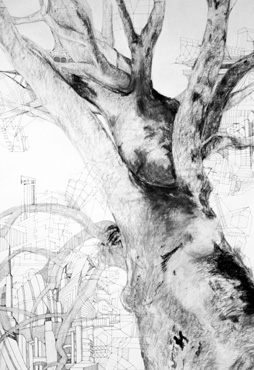 Jutta Hieret, Handzeichnung: Baumzeiten IV